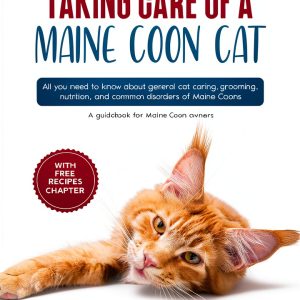 Maine Coon Cat Care Guide Kindle Edition by Expertengruppe Verlag-0